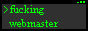 I'm a fucking webmaster.